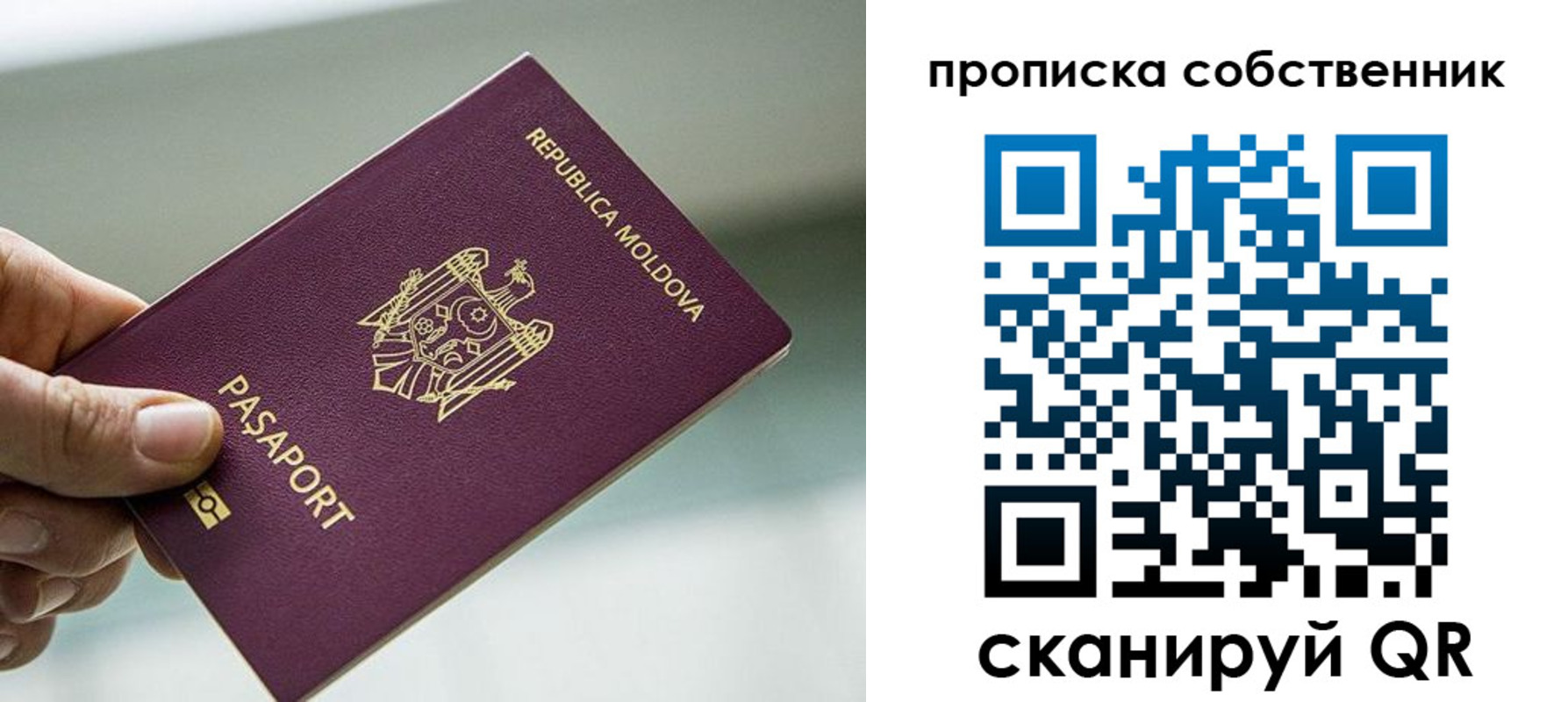 прописка паспорт в Первомайске